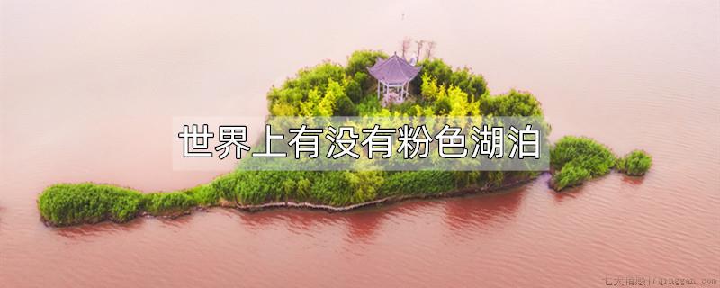 世界上有没有粉色湖泊