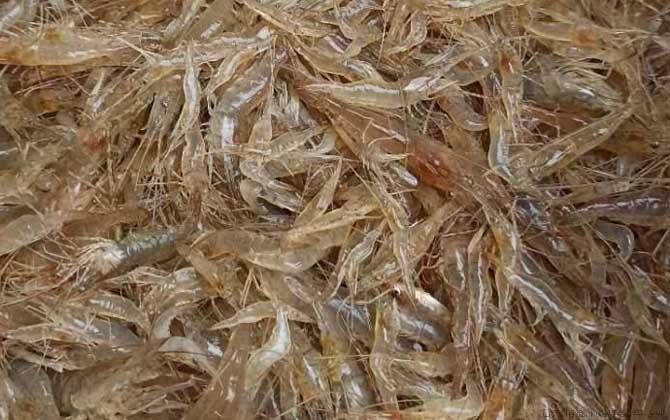 虾煮几分钟就熟了