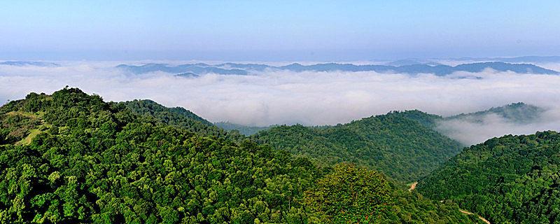 寿比南山的南山指的是哪座山