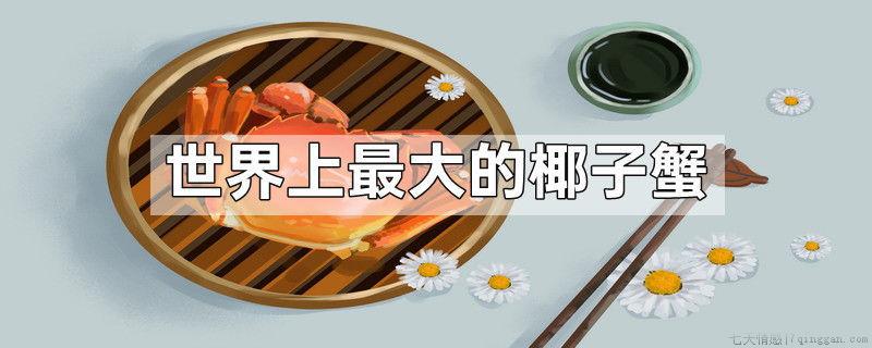 世界上最大的椰子蟹