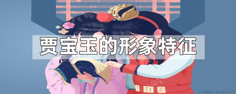 贾宝玉的形象特征