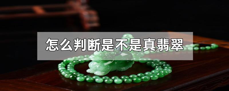 怎么判断是不是真翡翠