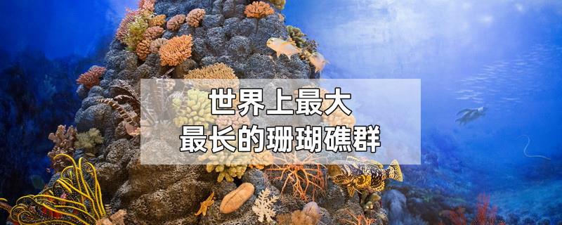 世界上最大最长的珊瑚礁群
