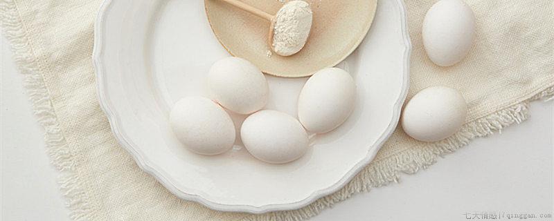 初生蛋是什么