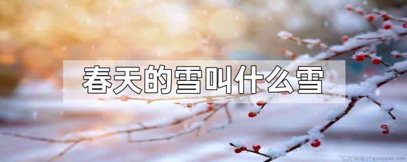春天的雪叫什么雪