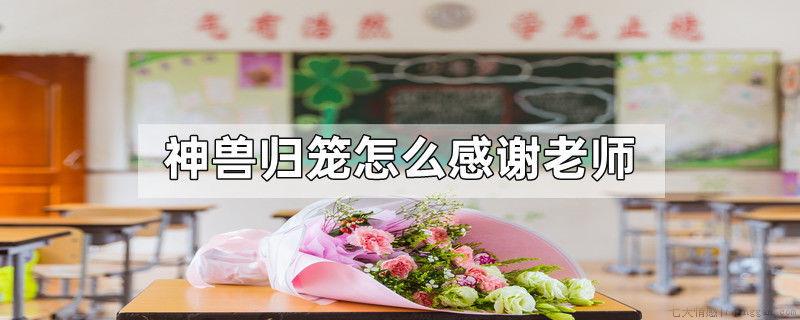 神兽归笼怎么感谢老师