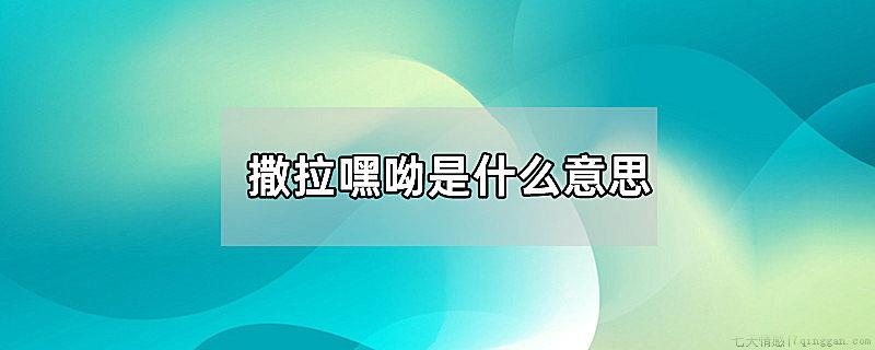 撒拉嘿呦是什么意思