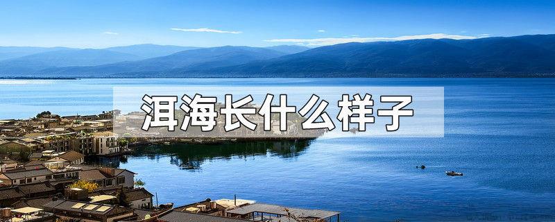 洱海长什么样子
