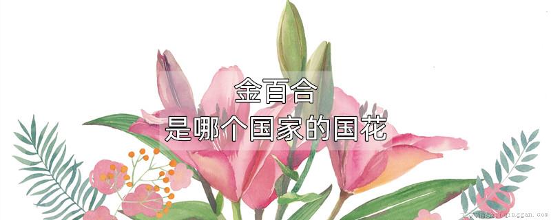 金百合是哪个国家的国花