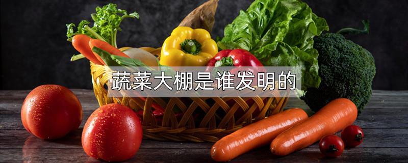蔬菜大棚是谁发明的