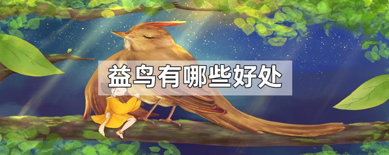 益鸟有哪些好处