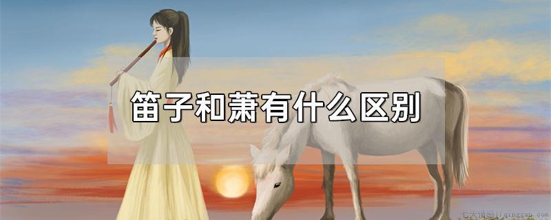 笛子和萧有什么区别