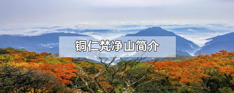 铜仁梵净山简介