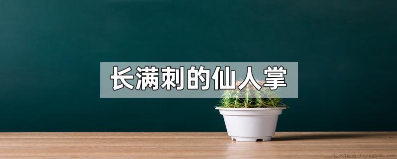 长满刺的仙人掌