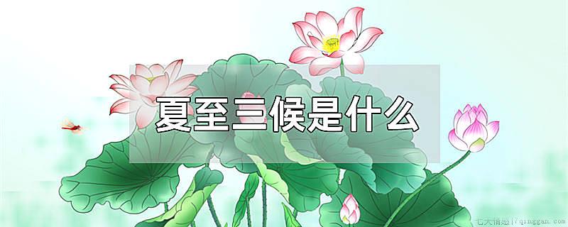 夏至三候是什么