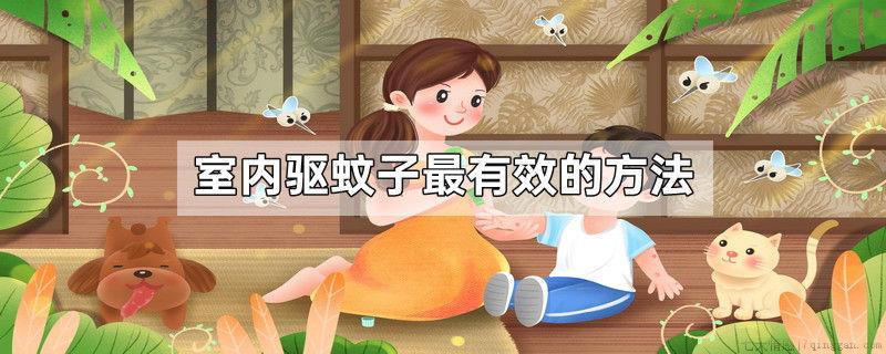 室内驱蚊子最有效的方法
