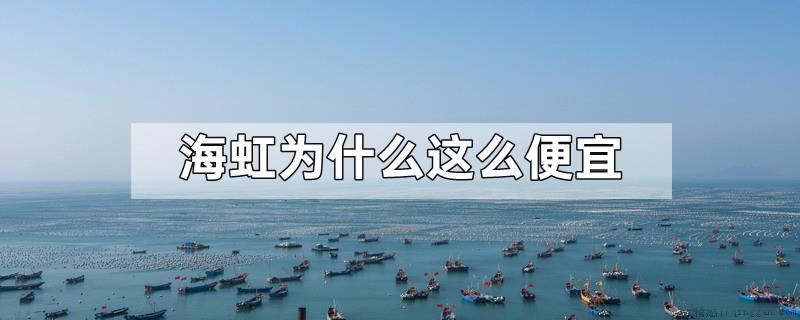 海虹为什么这么便宜