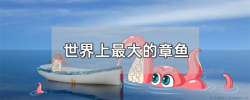 世界上最大的章鱼