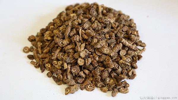 女贞子的功效与作用及食用方法