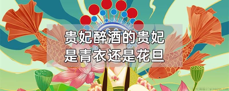 贵妃醉酒的贵妃是青衣还是花旦