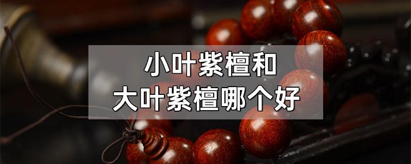 小叶紫檀和大叶紫檀哪个好
