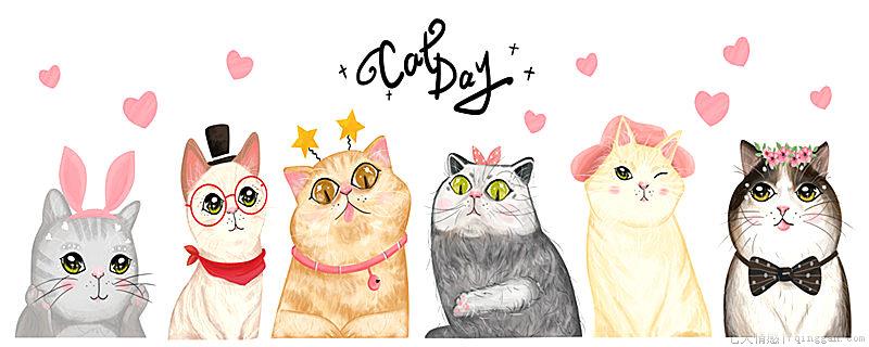 不想让猫咪上床怎么办