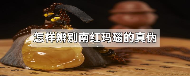 怎样辨别南红玛瑙的真伪