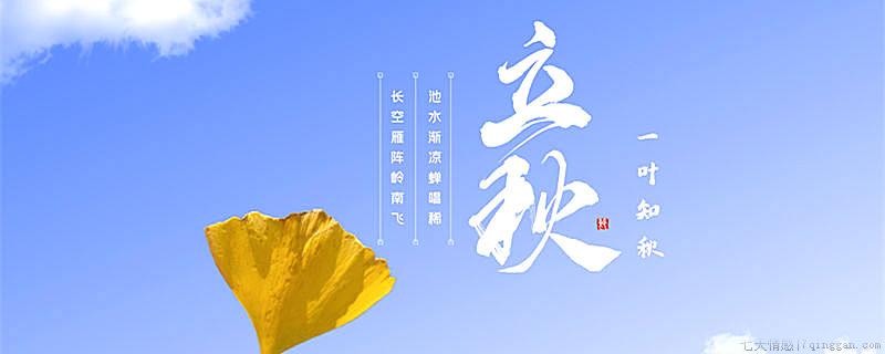 立秋怎么分公母