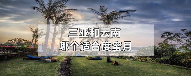 三亚和云南哪个适合度蜜月