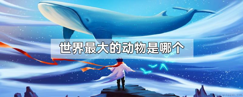 世界最大的动物是哪个