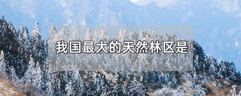 我国最大的天然林区是