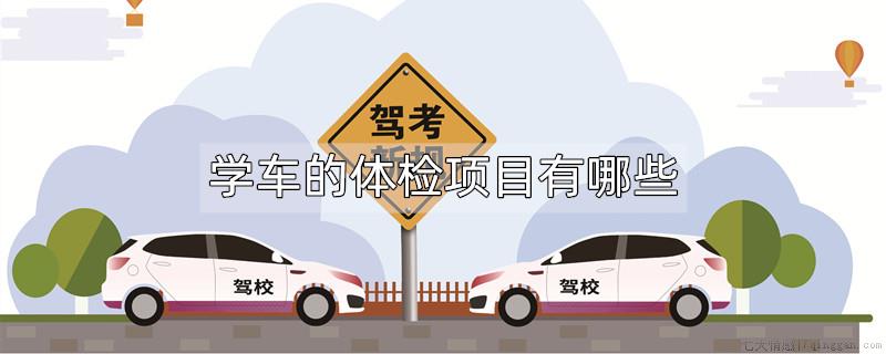 学车的体检项目有哪些