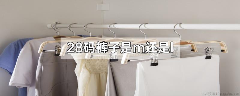 28码裤子是m还是l
