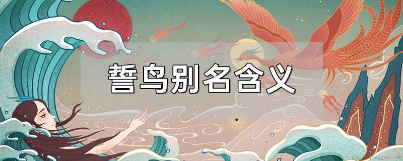 誓鸟别名含义
