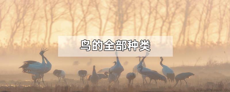 鸟的全部种类