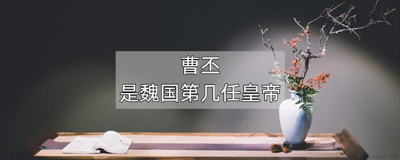 曹丕是魏国第几任皇帝