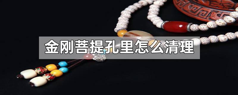 金刚菩提孔里怎么清理