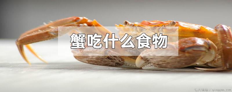 蟹吃什么食物