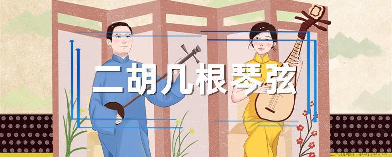 二胡几根琴弦