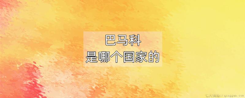 巴马科是哪个国家的