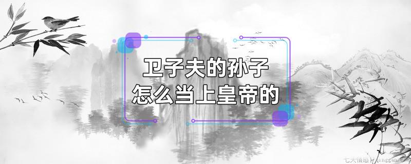 卫子夫的孙子怎么当上皇帝的