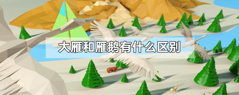 大雁和雁鹅有什么区别