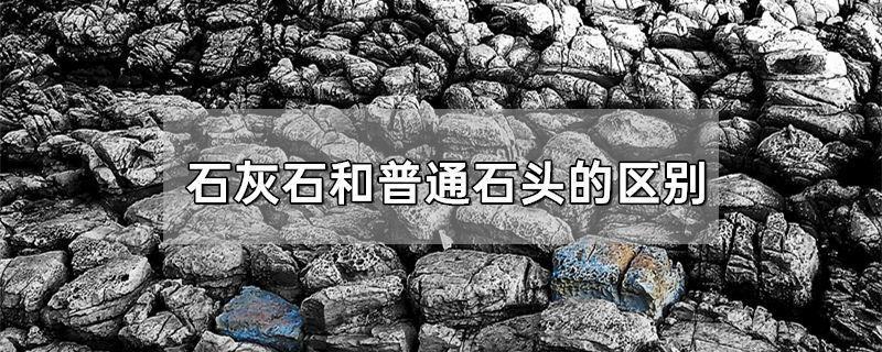 石灰石和普通石头的区别