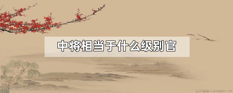 中将相当于什么级别官