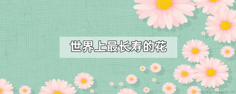 世界上最长寿的花