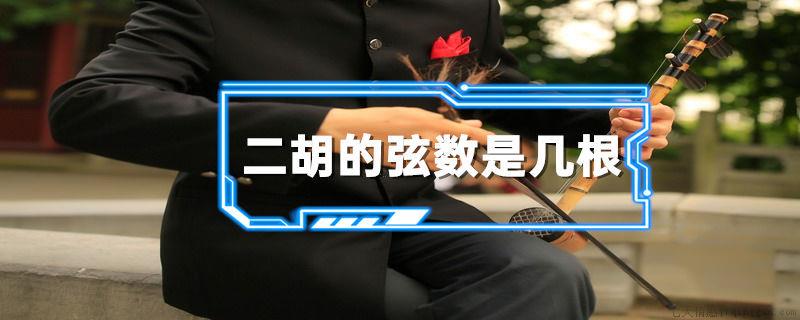 二胡的弦数是几根