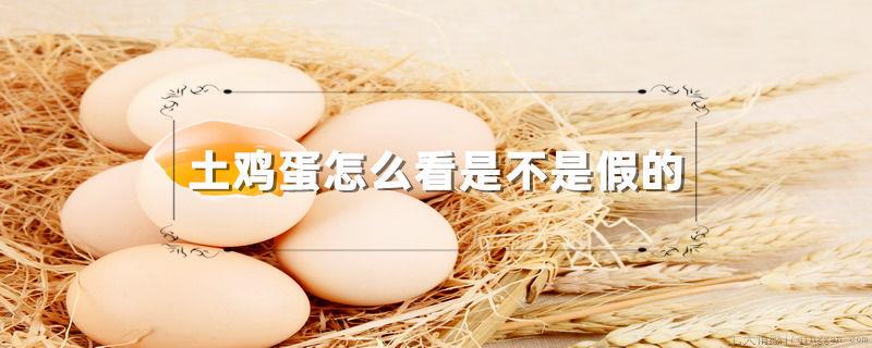 土鸡蛋怎么看是不是假的
