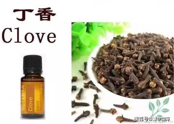 丁香精油有什么功效