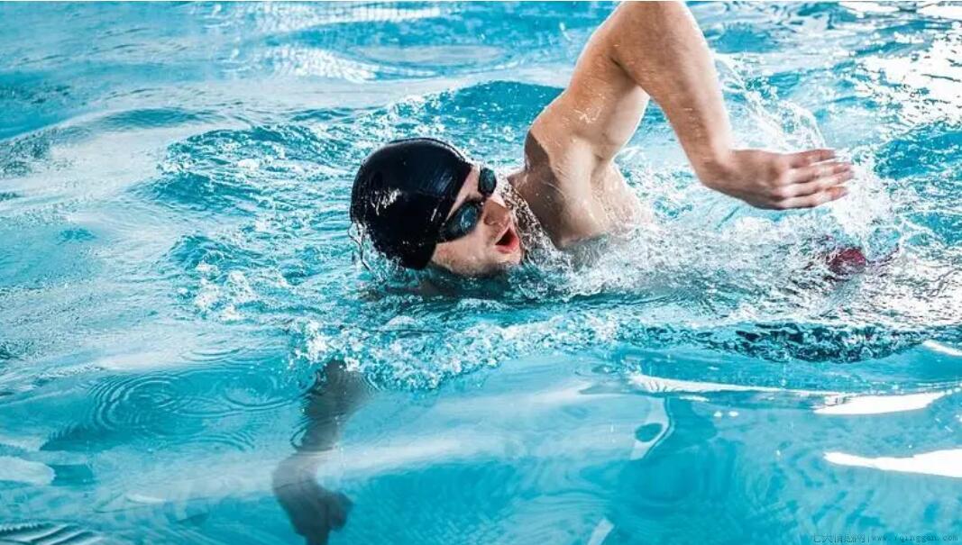 游泳可以锻炼哪些肌肉?
