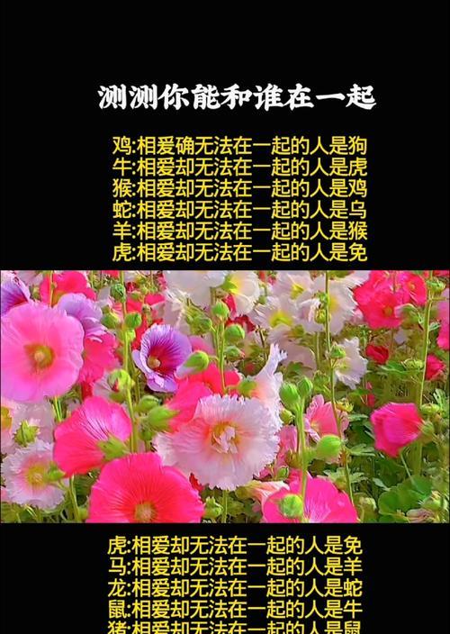 通过测试测出你的最佳拍档是谁